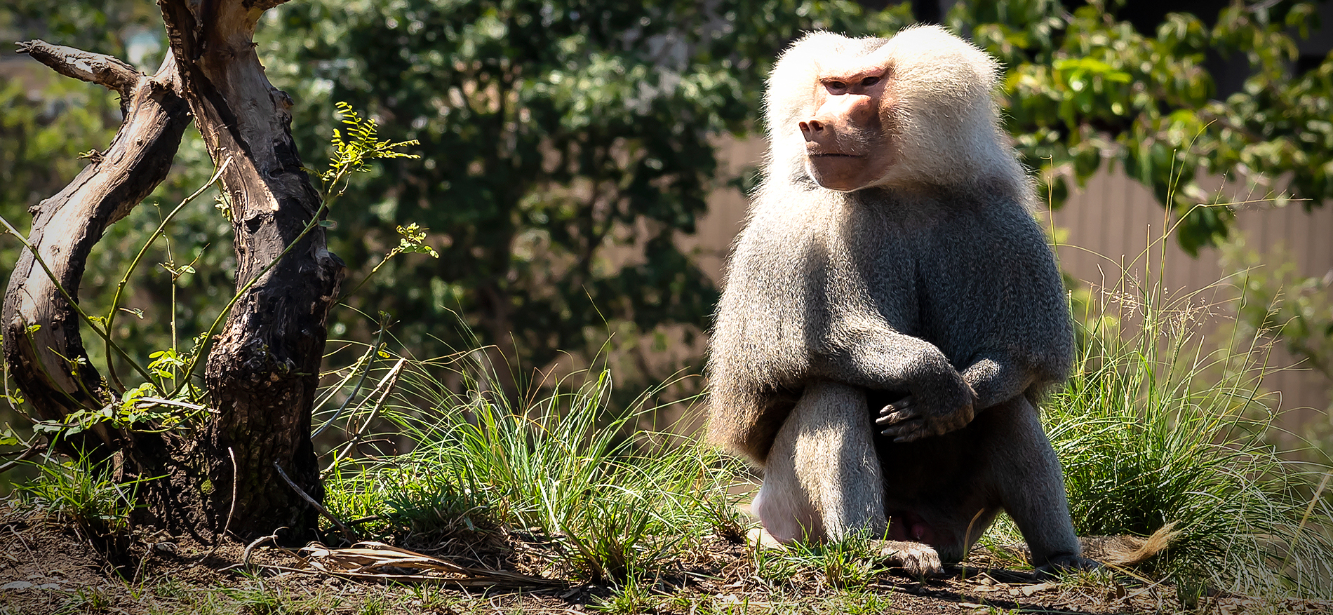 Ken Culver Photography