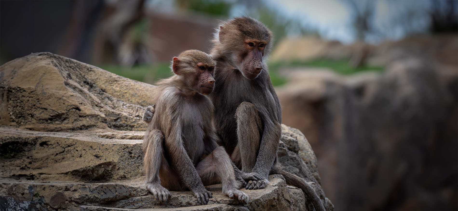 Ken Culver Photography