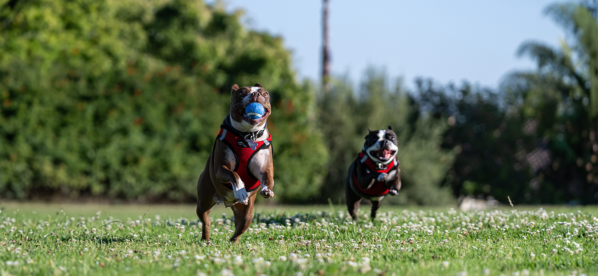 Ken Culver Photography